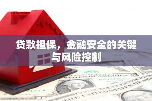 海原贷款担保，金融安全的关键与风险控制