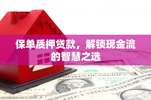 海原保单质押贷款，解锁现金流的智慧之选