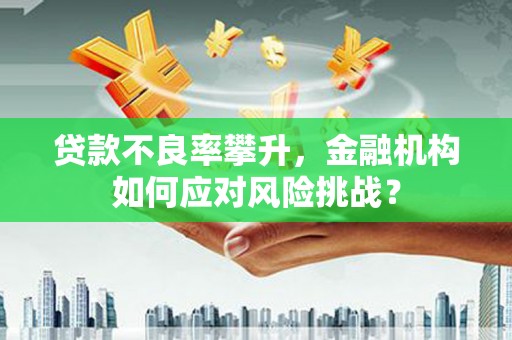 海原贷款不良率攀升，金融机构如何应对风险挑战？