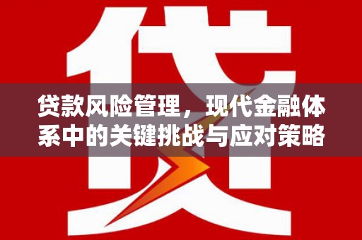 海原贷款风险管理，现代金融体系中的关键挑战与应对策略