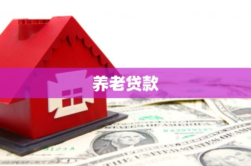 海原养老贷款