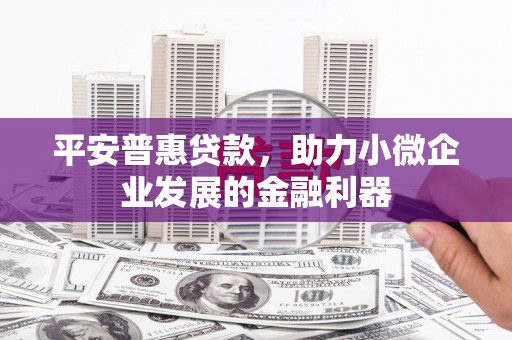 海原平安普惠贷款，助力小微企业发展的金融利器