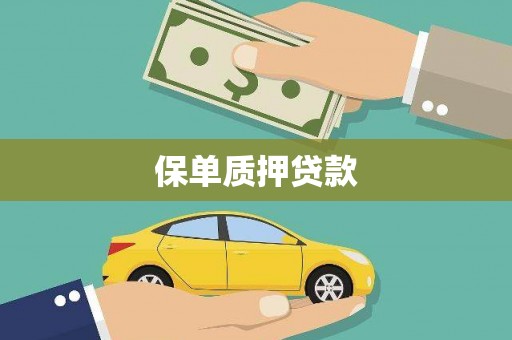 海原保单质押贷款