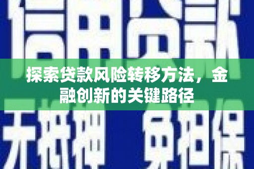 海原探索贷款风险转移方法，金融创新的关键路径