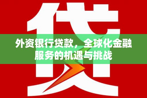 海原外资银行贷款，全球化金融服务的机遇与挑战