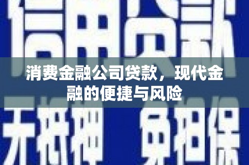 海原消费金融公司贷款，现代金融的便捷与风险