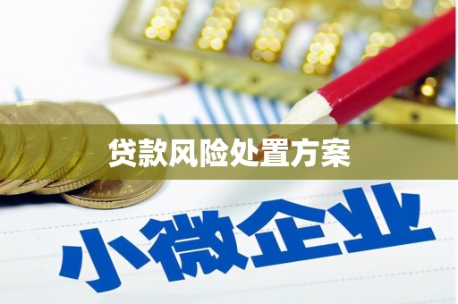 海原贷款风险处置方案