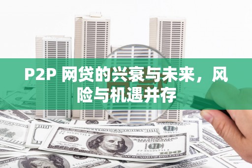 海原P2P 网贷的兴衰与未来，风险与机遇并存