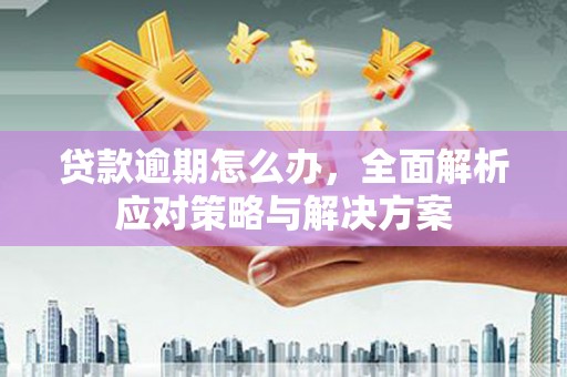 海原贷款逾期怎么办，全面解析应对策略与解决方案