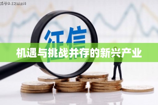 海原机遇与挑战并存的新兴产业