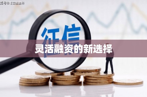 海原灵活融资的新选择