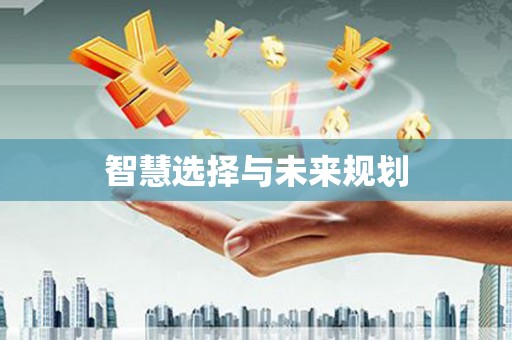 海原智慧选择与未来规划