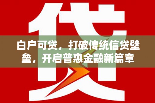 海原白户可贷，打破传统信贷壁垒，开启普惠金融新篇章