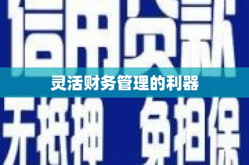 海原灵活财务管理的利器