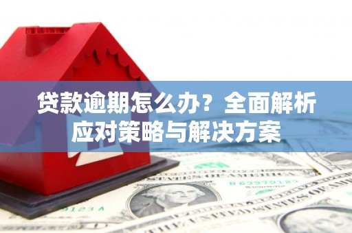 海原贷款逾期怎么办？全面解析应对策略与解决方案