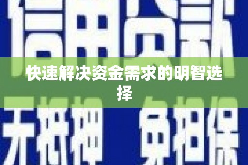 海原快速解决资金需求的明智选择