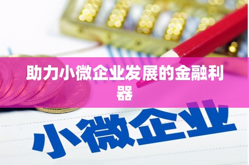 海原助力小微企业发展的金融利器