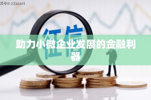 海原助力小微企业发展的金融利器