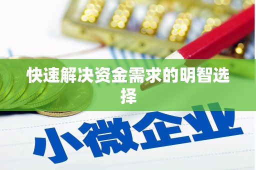 海原快速解决资金需求的明智选择