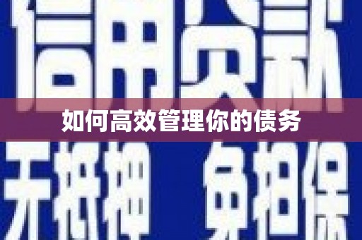 海原如何高效管理你的债务