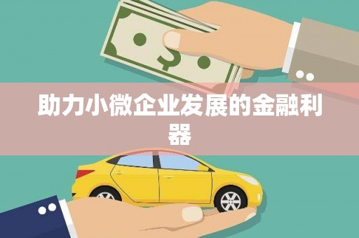 海原助力小微企业发展的金融利器