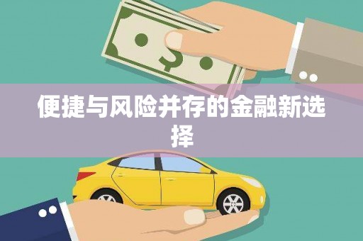 海原便捷与风险并存的金融新选择