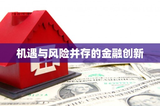 海原机遇与风险并存的金融创新