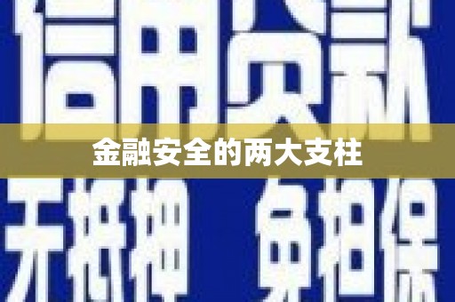 海原金融安全的两大支柱