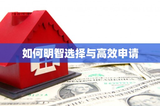 海原如何明智选择与高效申请