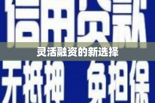 海原灵活融资的新选择