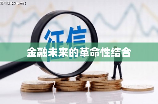 海原金融未来的革命性结合