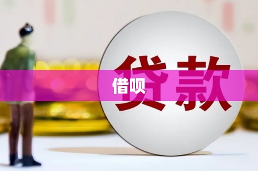 海原借呗