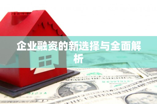 海原企业融资的新选择与全面解析