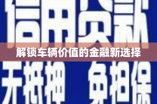 海原解锁车辆价值的金融新选择