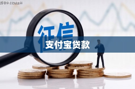 海原支付宝贷款