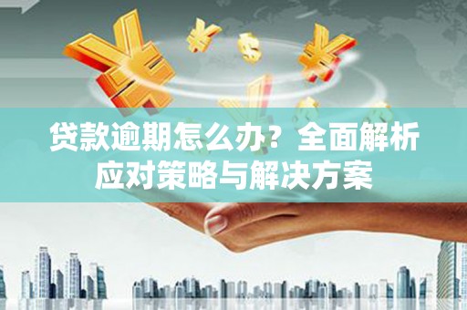 海原贷款逾期怎么办？全面解析应对策略与解决方案