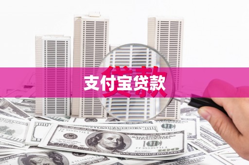海原支付宝贷款