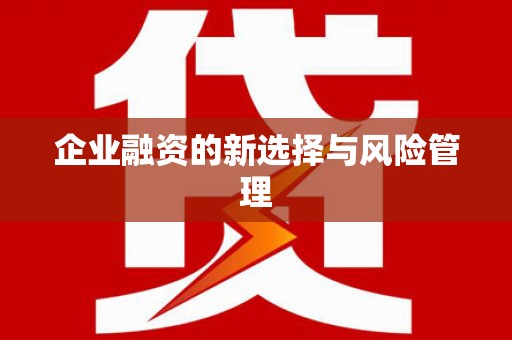 海原企业融资的新选择与风险管理