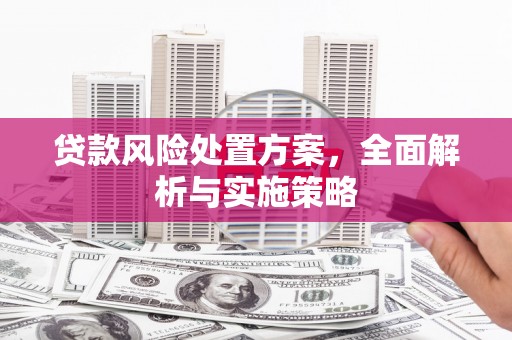 海原贷款风险处置方案，全面解析与实施策略