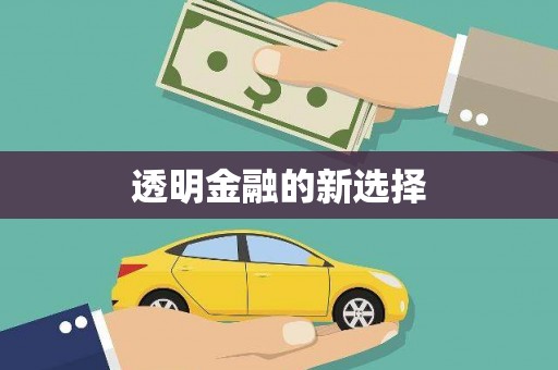 海原透明金融的新选择