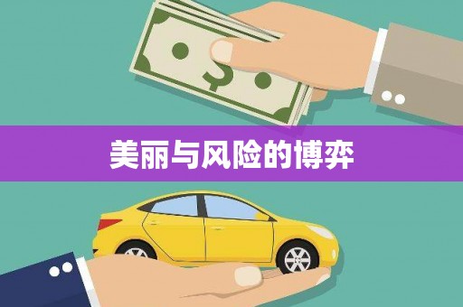 海原美丽与风险的博弈
