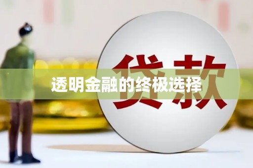 海原透明金融的终极选择