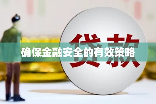 海原确保金融安全的有效策略