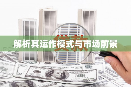 海原解析其运作模式与市场前景