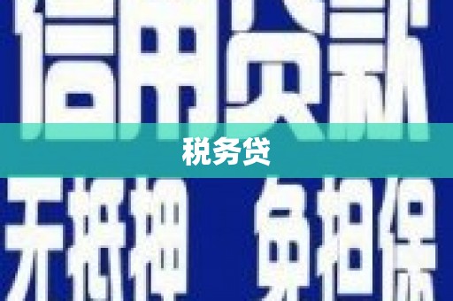 海原税务贷