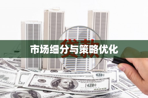 海原市场细分与策略优化