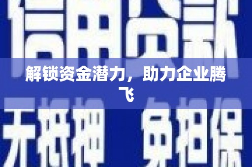 海原解锁资金潜力，助力企业腾飞