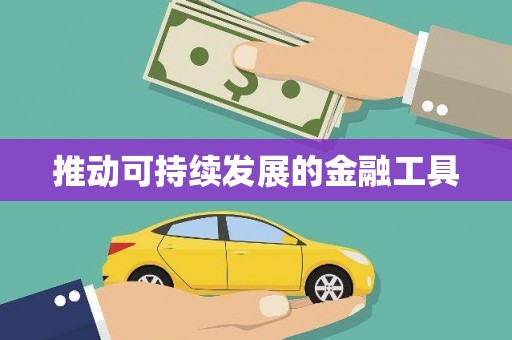 海原推动可持续发展的金融工具
