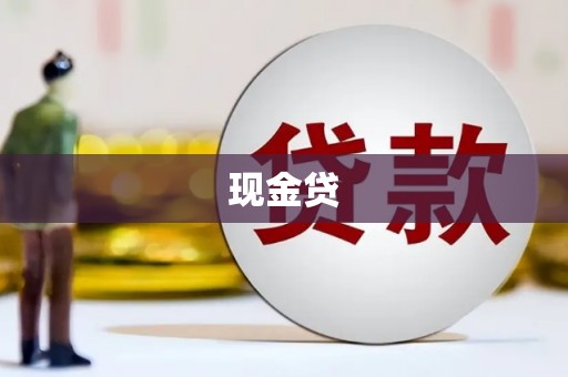 海原现金贷