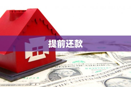 海原提前还款